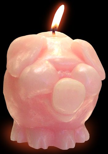 Pig Candle